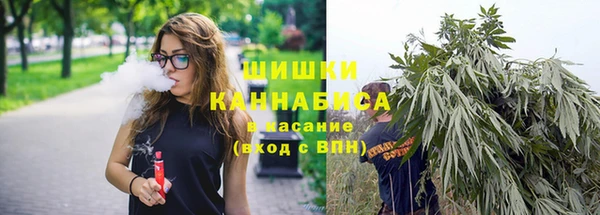 гашик Бронницы